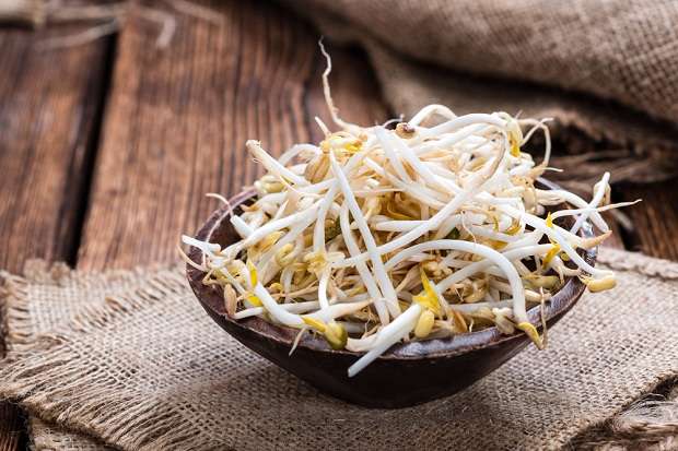Hasil gambar untuk sayur toge manfaat
